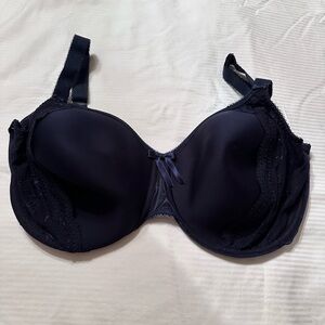 Elegant Elomi Navy Lace Bra